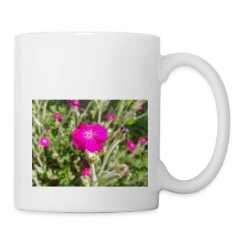 Rosennelke Lychnis coronaria Kronen-Lichtnelke - Tasse - Weiß - Rechts