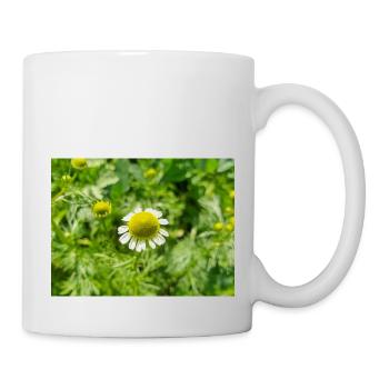 chamomile also kamilla (in german Echte Kamille) - Mug - white - Right