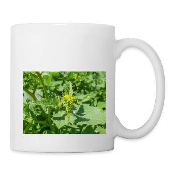 black mustard (in german Schwarzer Senf) Rhamphosp - Mug - white - Right