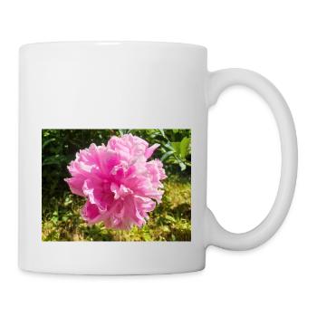 Chinesische Pfingstrose Chinesische Pfingsrose Paeonia - Tasse - Weiß - Rechts