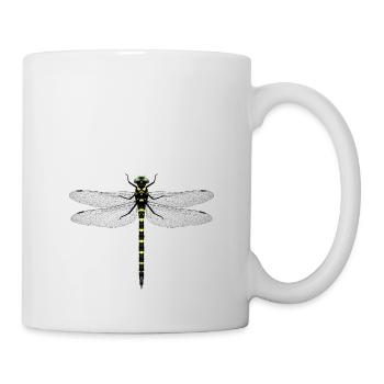 Cordulegastrer bidentata - Mug blanc - blanc - Droite