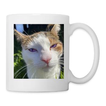 Cat portrait with purple eyes - Mug - white - Right