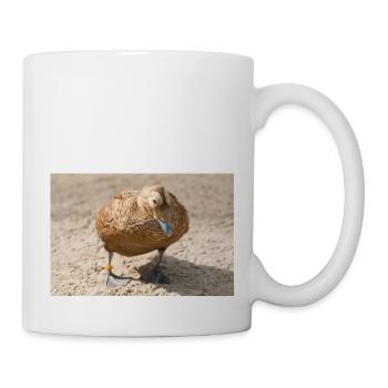 Eider Duck (canard Eider, Somateria mollissima) - Mug blanc - blanc - Droite