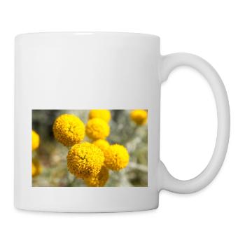 Lavender cotton or Grey santolina Heiligenkraut - Tasse - Weiß - Rechts