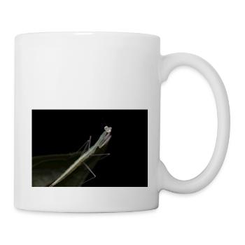 Sinomantis denticulata nymph - glass mantis - Mug - white - Right