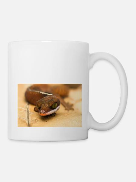 Aeluroscalabotes cf dorsalis - Malaysian Cat Gecko - Mug - white