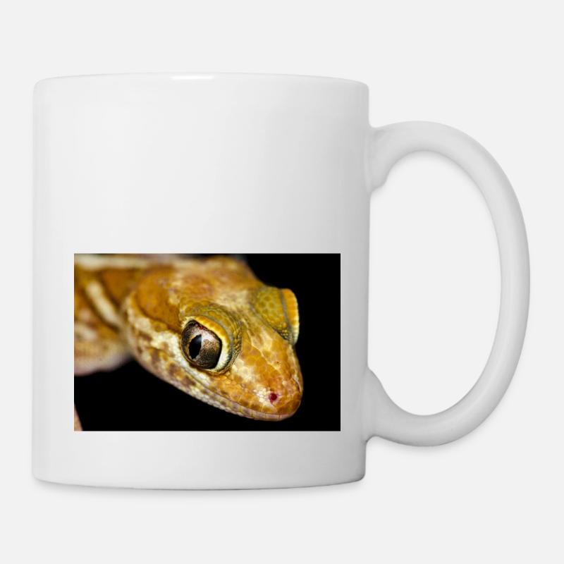 Paroedura picta - Gecko terrestre de Madagasar - Mug blanc - blanc