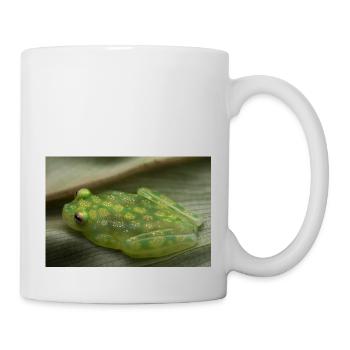 Hyalinobatrachium valerioi - Glass frog - Mug - white - Right