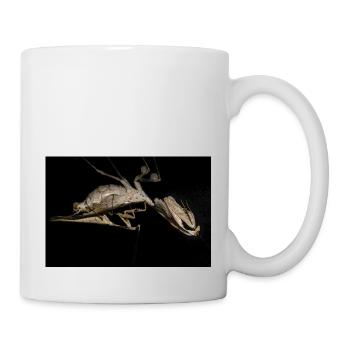 Deroplatys trigonodera adultes Paar bei Paarung - Tasse - Weiß - Rechts