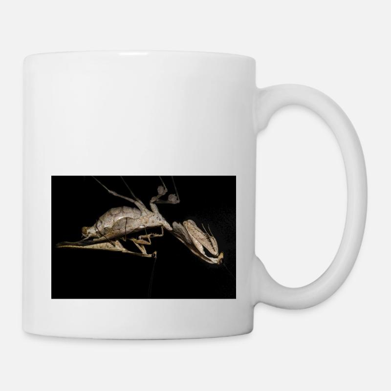 Deroplatys trigonodera couple adulte en accouplement - Mug blanc - blanc