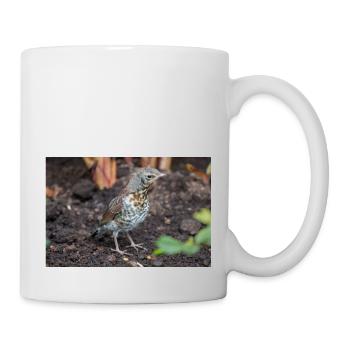 Fieldfare (in german Wacholderdrossel) Turdus pila - Mug - white - Right