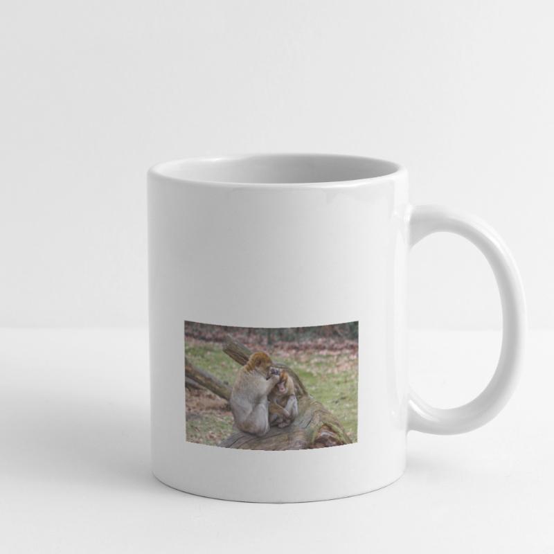 Barbary macaques (Berberaffe) Macaca sylvanus Mug