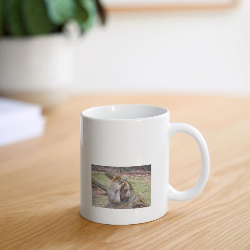 Barbary macaques (Berberaffe) Macaca sylvanus Mug