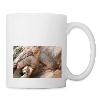 dwarf mongoose (in german Zwergmangusten) Helogale - Mug - white - Right
