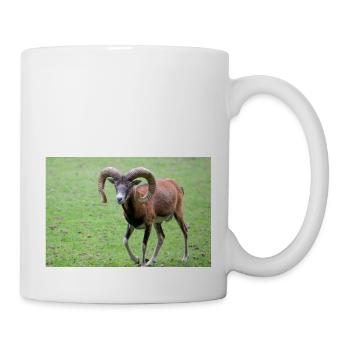 Mouflon européen Europäischer Mufflon - Mug blanc - blanc - Droite