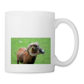 Mouflon européen Europäischer Mufflon - Mug blanc - blanc - Droite