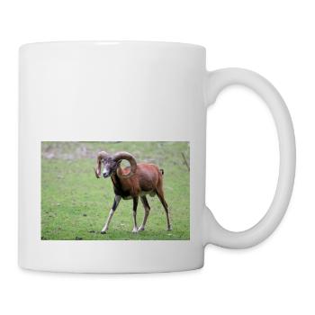 Mouflon européen Europäischer Mufflon - Mug blanc - blanc - Droite