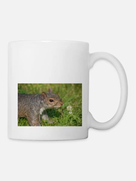 Grauhörnchen Sciurus carolinensis - Tasse - Weiß
