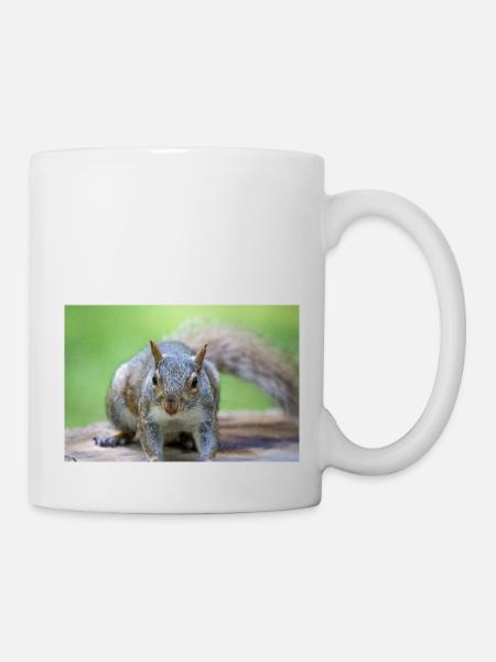 Grauhörnchen Sciurus carolinensis - Tasse - Weiß