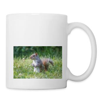 stehendes Grauhörnchen (Sciurus carolinensis) grey - Tasse - Weiß - Rechts