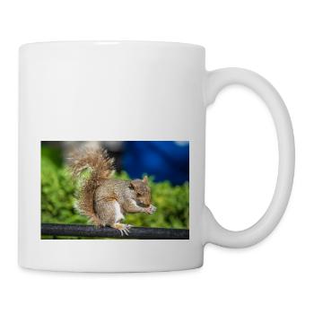 Essen Grauhörnchen Grauhörnchen Sciurus carolin - Tasse - Weiß - Rechts