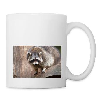 North American racoon (in german Waschbär) - Mug - white - Right