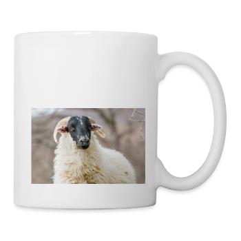 Mouton (en allemand Schaf) Ovis en Irlande - Mug blanc - blanc - Droite