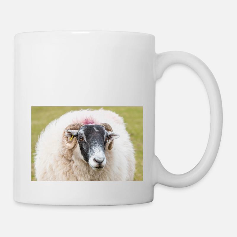 Schaf Ovis in Irland - Tasse - Weiß
