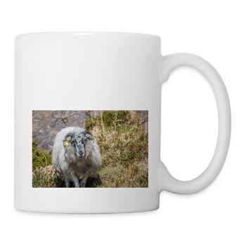 Mouton (en allemand Schaf) Ovis en Irlande - Mug blanc - blanc - Droite