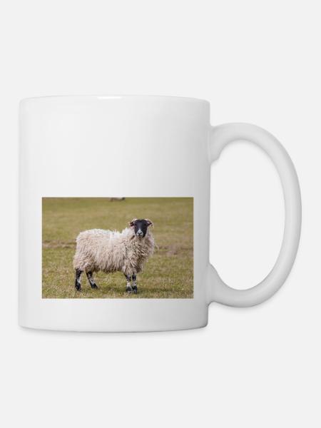 Schaf Ovis in Irland - Tasse - Weiß