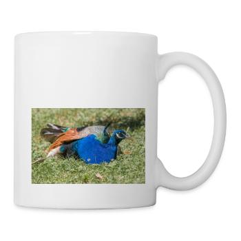 Blauer Pfau (in german Blauer Pfau) Pavo cristatus - Tasse - Weiß - Rechts
