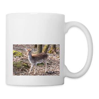 Fallow Deer (in german Damwild or Damhirsch) Dama - Mug - white - Right