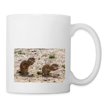African ground squirrels Borstenhörnchen Xerus - Mug - white - Right