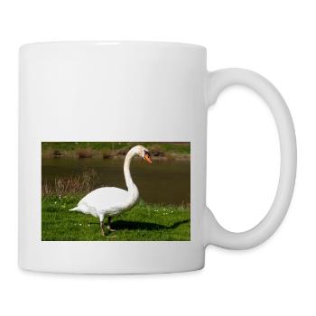 Mute Swan (in german Höckerschwan) Cygnus olor - Mug - white - Right