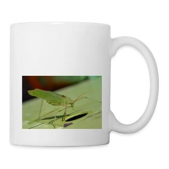 Krauss's Bush-cricket Isophya kraussii - Mug - white - Right