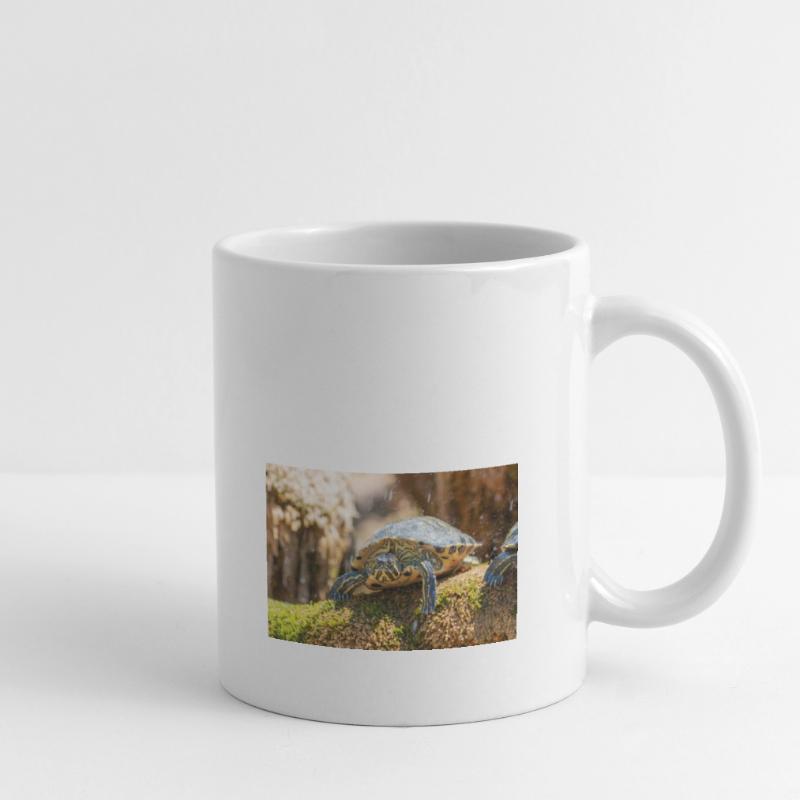 Yellow-bellied slider Trachemys scripta scripta Mug