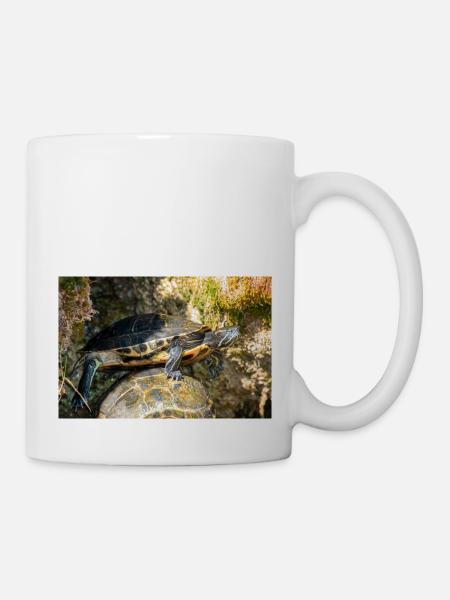 Gelbbauch-Slider Trachemys scripta scripta - Tasse - Weiß
