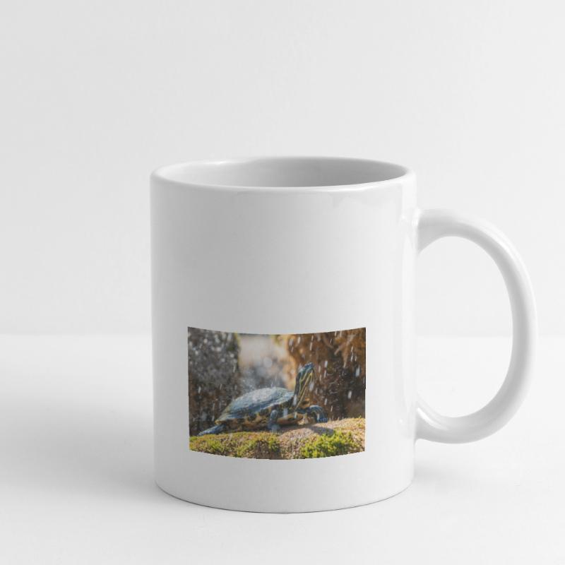 Gelbbauch-Slider Trachemys scripta scripta Tasse