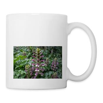 Bären-Steiß Acanthus spinosus - Tasse - Weiß - Rechts