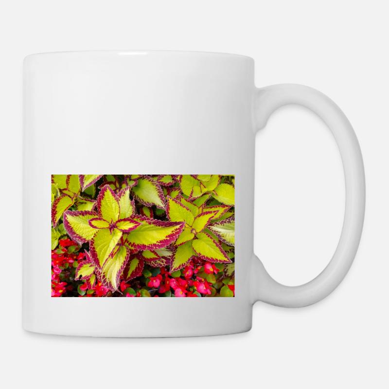 Coleus - Mug blanc - blanc