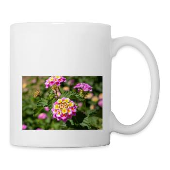 Lantana auch spanische Flagge Wandelröschen - Tasse - Weiß - Rechts