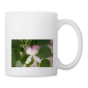 Kapernstrauch auch Flinders-Rose Capparis spinosa - Tasse - Weiß - Rechts