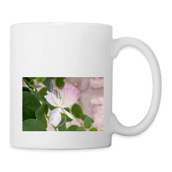 Kapernstrauch auch Flinders-Rose Capparis spinosa - Tasse - Weiß - Rechts