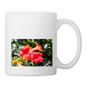 trumpet creeper or trumpet vine Campsis - Mug - white - Right