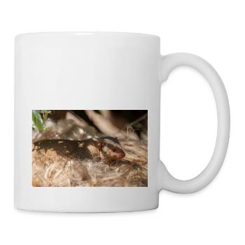 dwarf mongoose (in german Zwergmangusten) Helogale - Mug - white - Right