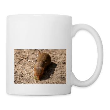 dwarf mongoose (in german Zwergmangusten) Helogale - Mug - white - Right