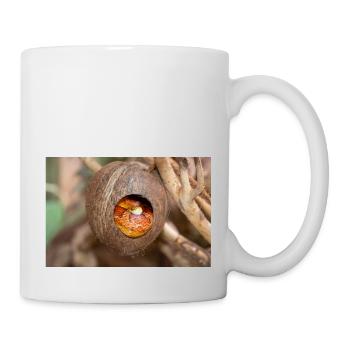 serpent des blés aussi serpent rat rouge (Kornnatter) Panthère - Mug blanc - blanc - Droite