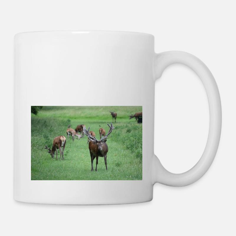 Deer with antlers DSC 0065 - Mug - white
