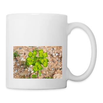 blooming colorful Wolfsmilch (Euphorbia) flower - Mug - white - Right