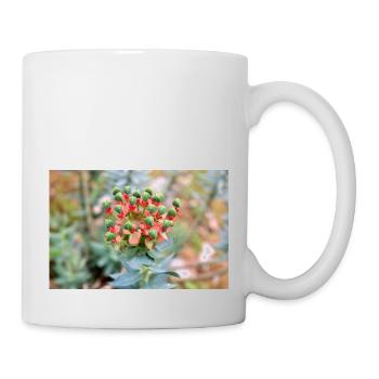 blooming colorful Wolfsmilch (Euphorbia) flower - Mug - white - Right